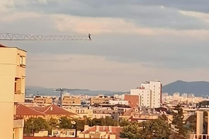 Лудост! Мъж кацна на кран на строеж, за да снима София от високо ВИДЕО