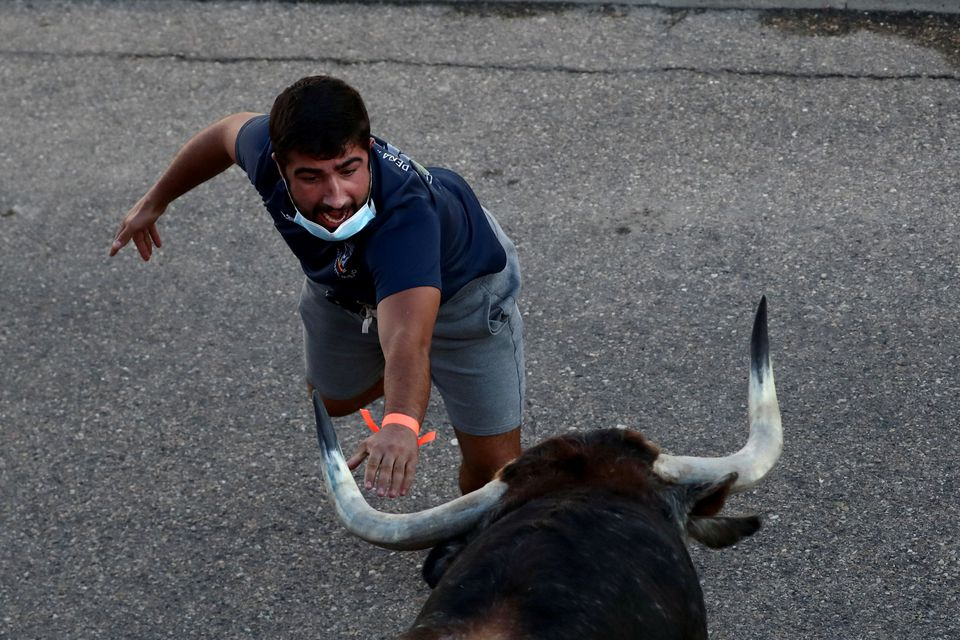 В Толедо отново се надбягват с бикове ВИДЕО