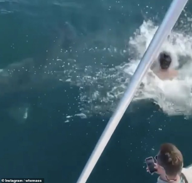 ВИДЕО с мъж и акула стана хит в Instagram
