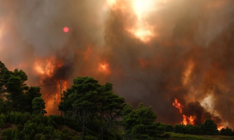 Пожар бушува в Национален парк „Рила“