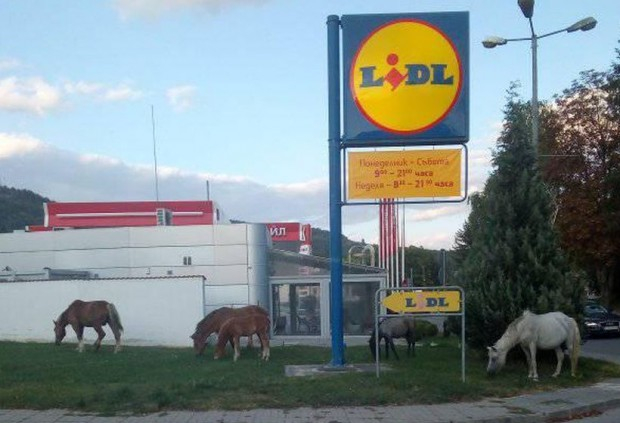 Тази СНИМКА до магазин на LIDL във Велинград озадачи мрежата