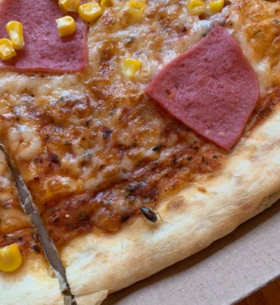 Асеновградчанка си купи пица и щеше да припадне от гнус СНИМКИ