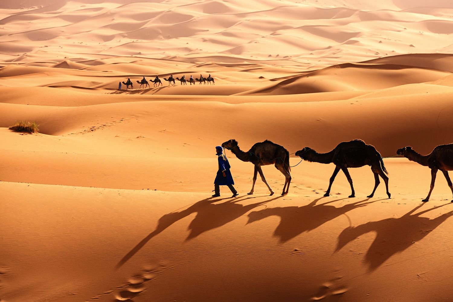 Какво се крие под пясъците на Сахара
