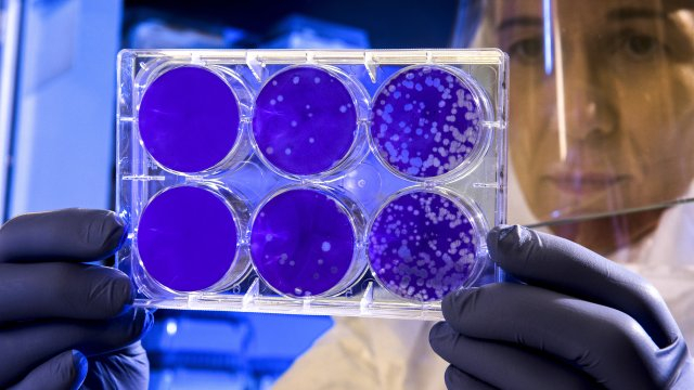 Учен предупреди за нов вирус, който ще сее смърт по света 