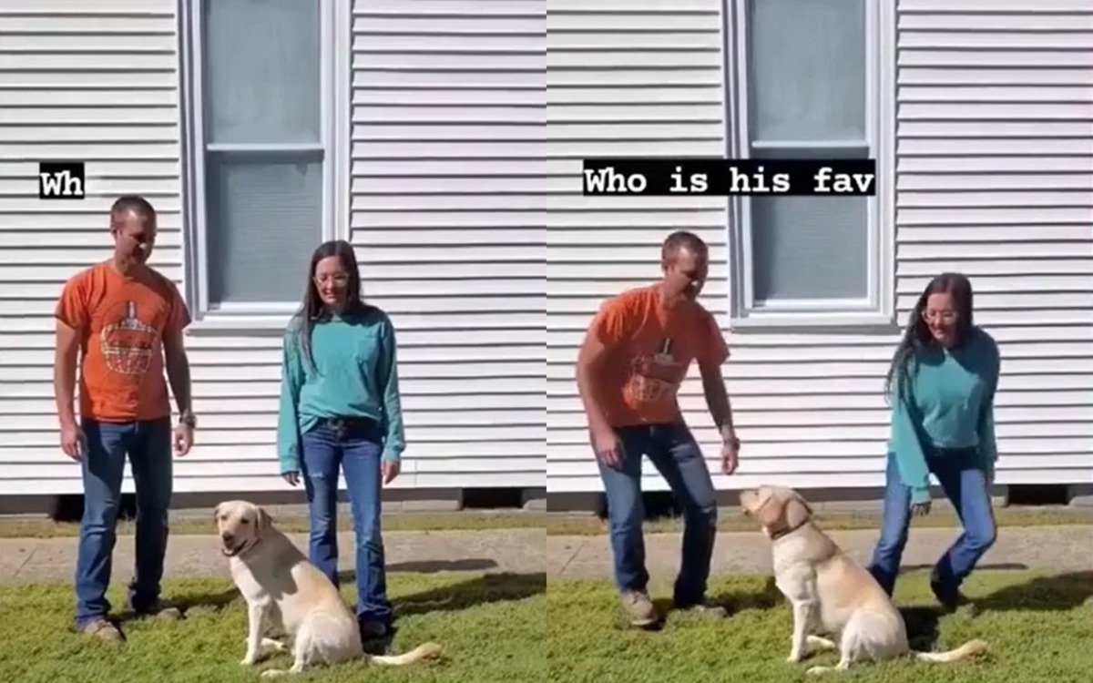 Мъж провери кого най-много харесва кучето му, но бързо съжали ВИДЕО