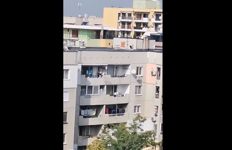 Невиждан екшън! Teжки псувни и клетви събудиха квартал в Пловдив, а после... ВИДЕО