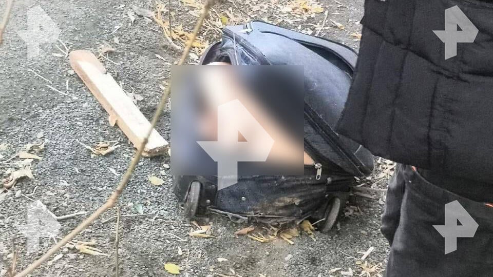 Деца откриха куфар с разчленен труп на млада жена, докато си играят на двора ВИДЕО 