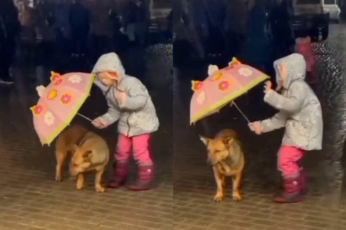 Момиче, което спасява куче от дъжда, очарова и трогна интернет ВИДЕО