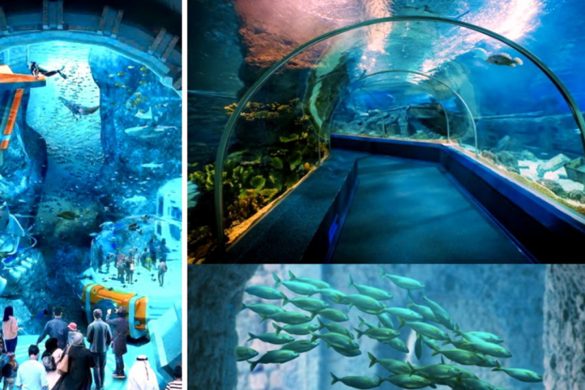 Изгражда се най-големият аквариум в света, ето къде