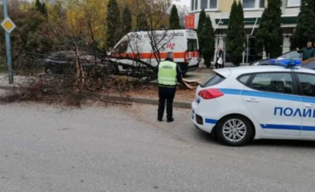 Извънредни новини за шофьора на Поршето, помело коли, дърво и стълб в Пловдив