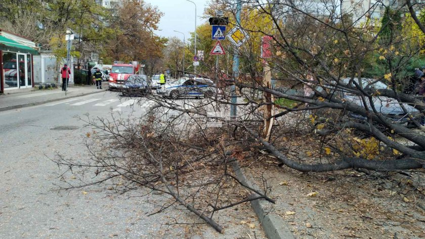 Официално: Джигитът с поршето е бил надрусан до откат