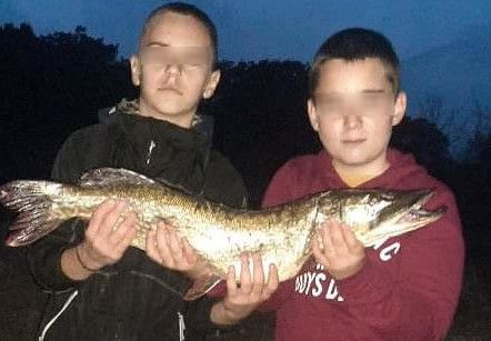 13-г. момчета от Свиленград се похвалиха с улов, на който може да завиди всеки СНИМКА 