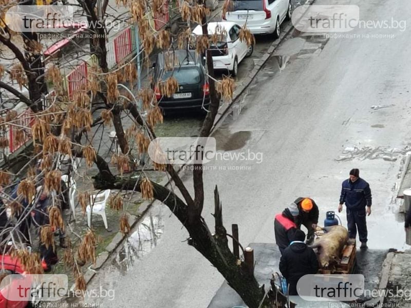 Пловдивчани в шок! Какво се случва на тази улица в централен квартал СНИМКИ