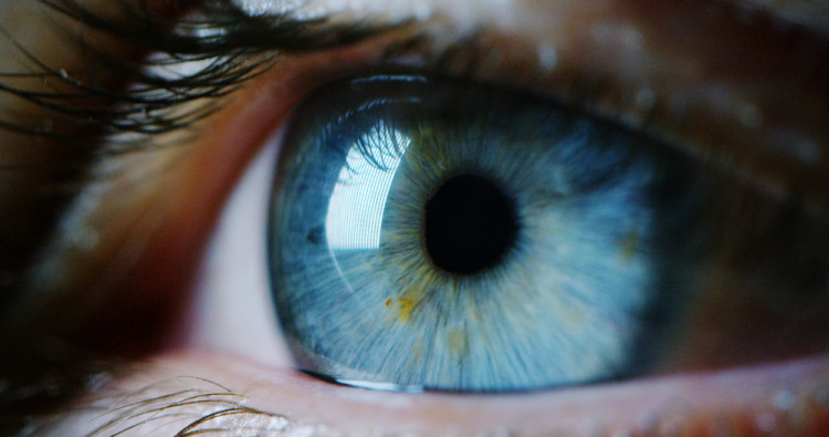 Пробив: Генна терапия връща зрението на братя с дистрофия на ретината