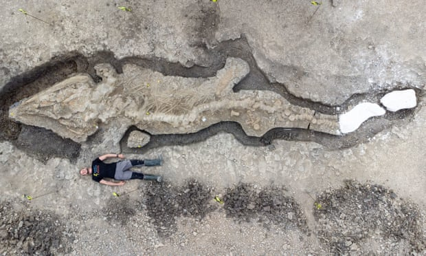 Археолози откриха гигантски скелет на морско чудовище СНИМКИ