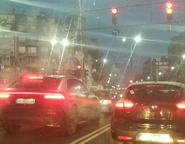 Шофьор видя нещо на пътя в Пловдив и се потресен ВИДЕО