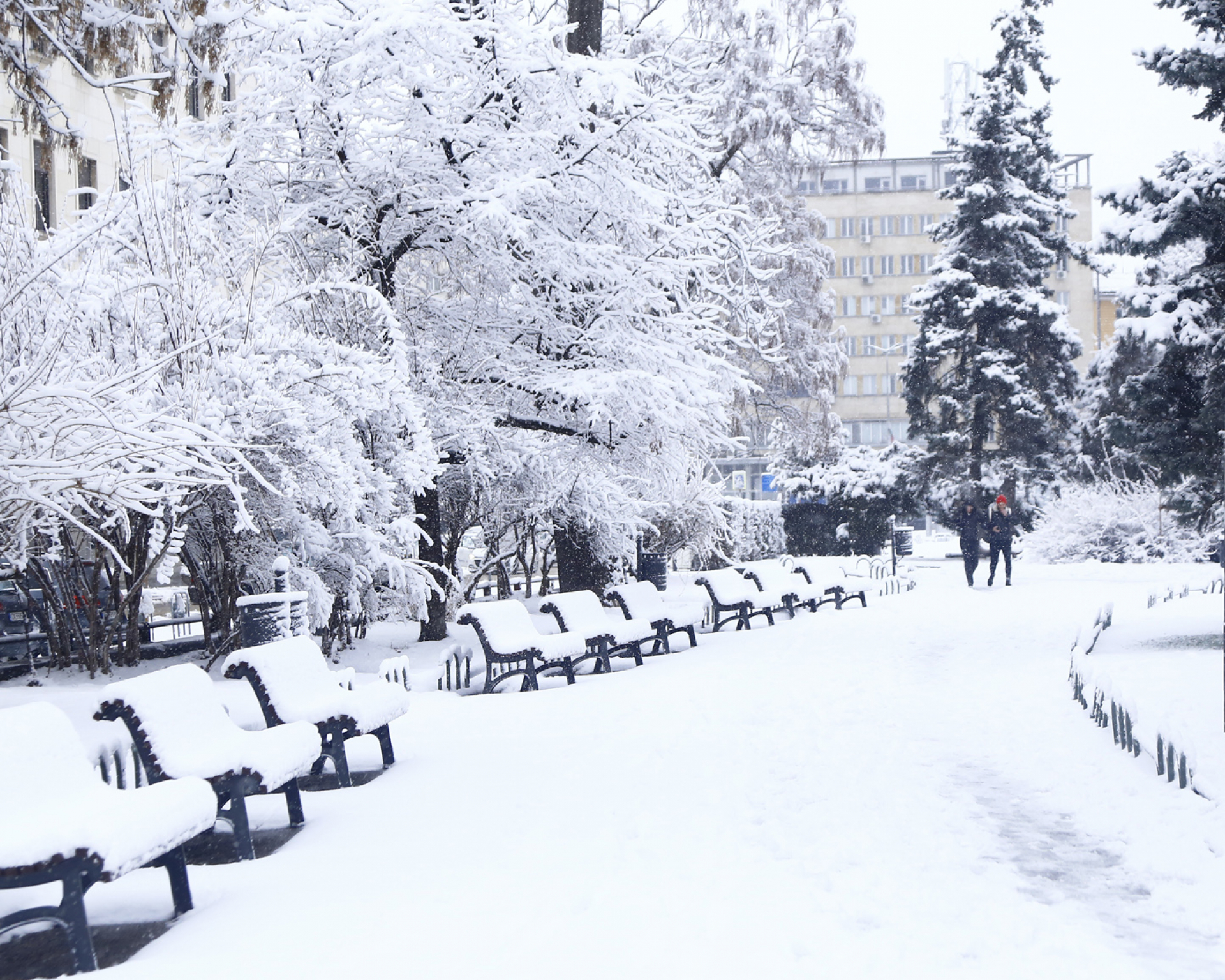 Анастасия Стойчева от НИМХ обяви кога ще вали сняг до края на ноември 