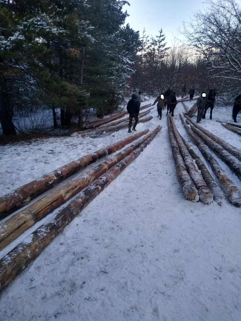 Масови арести в Ракитово, ето защо СНИМКИ