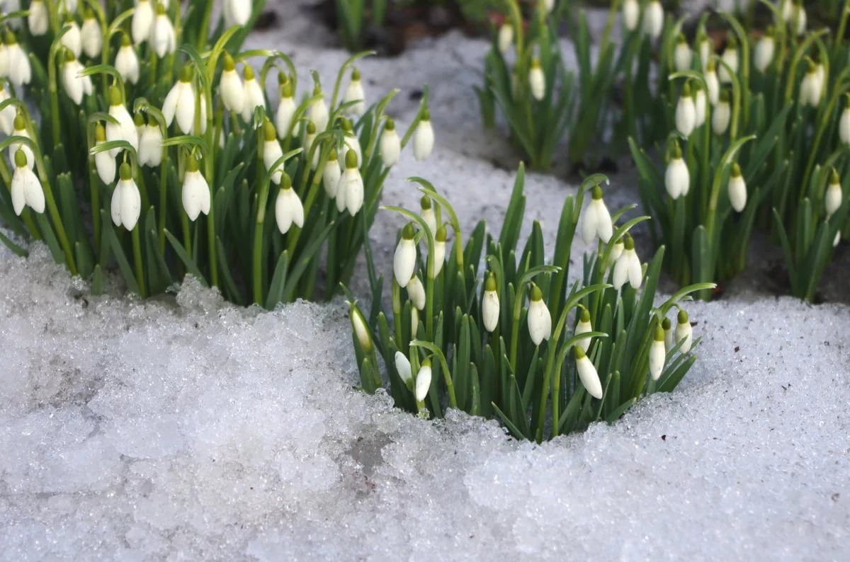 Синоптикът Янков обяви ранно начало на пролетта още на този ден през февруари