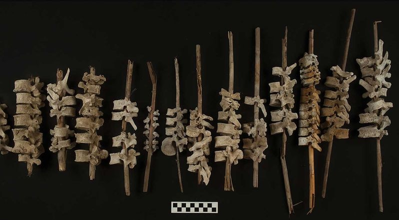 Зловещо: Стотици човешки прешлени, нанизани на прътове, са открити в Перу СНИМКИ