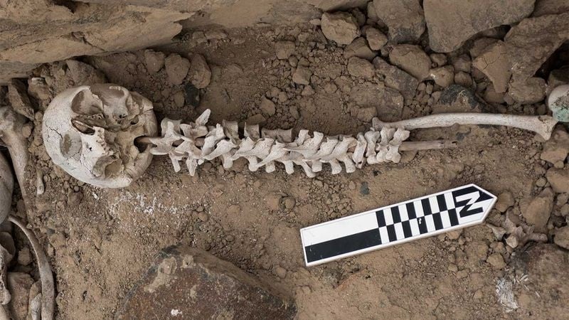Зловещо: Стотици човешки прешлени, нанизани на прътове, са открити в Перу СНИМКИ