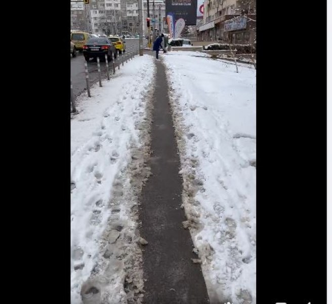 Няма угодия: Младеж изчисти от снега цяла алея и бе нахокан здравата 