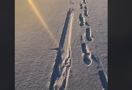 Мъж откри тайнствени следи в снега и разбра на кого са ВИДЕО