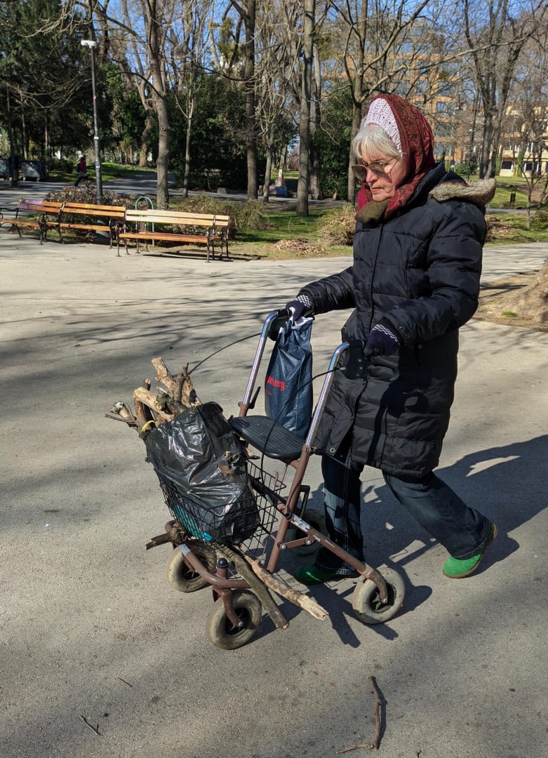 Тъжна гледка: Пенсионери събират клони за огрев във Варна 