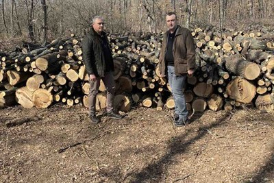 Министерството на земеделието очаква 70-75 лв. за кубик дърва за огрев с включен транспорт