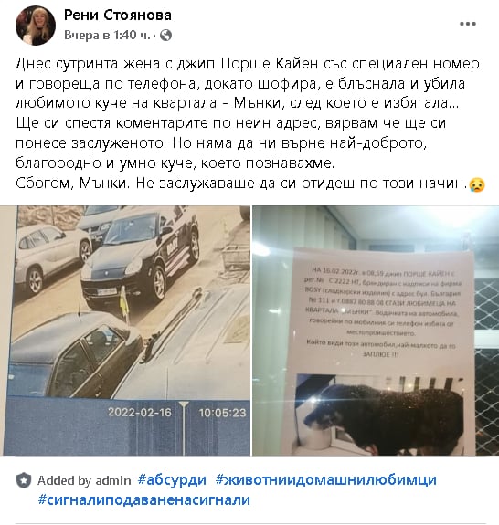 Шофьорка с Порше Кайен уби любимеца на кв."Манастирски ливади"! СНИМКИ