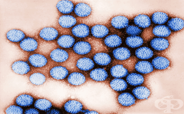Аларма: Чакащите втора доза срещу ротавирус деца са в патова ситуация