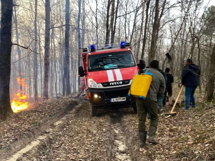 Огнен ад: Гори гората над плаж в Синеморец СНИМКИ