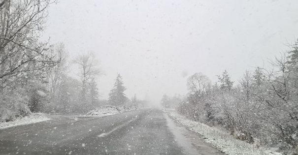 Сняг на парцали се сипе в Софийско, а във Варна... СНИМКИ