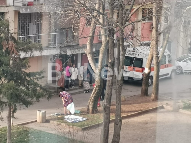Страшна трагедия: Откриха мъртва до кофа за боклук Агнеса, която с месеци агонизираше по улиците на Враца