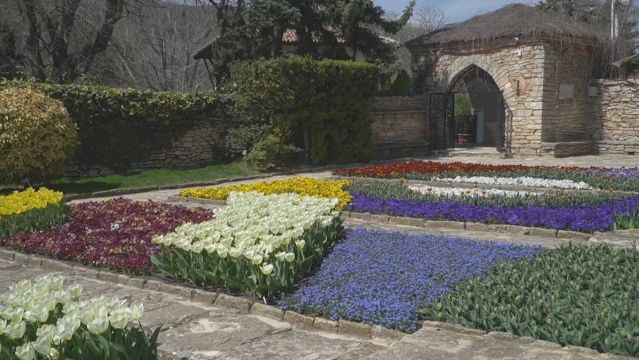 Нещо невероятно се случи в Балчик СНИМКИ