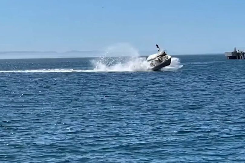 Лодка се удари в кит и стана страшно!