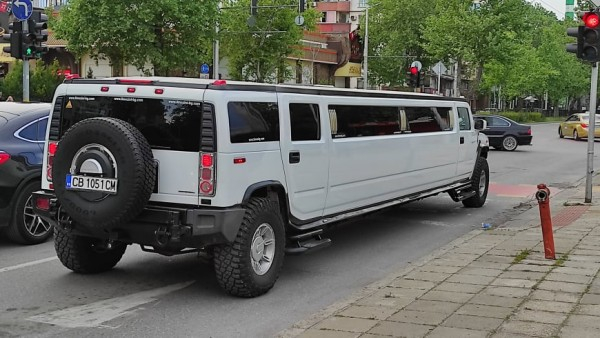 Такъв звяр не се вижда всеки ден в Пловдив СНИМКИ