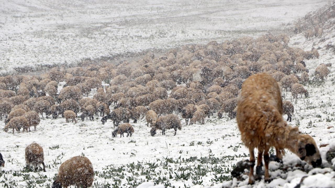 Нещо невиждано през май стана в Турция СНИМКИ