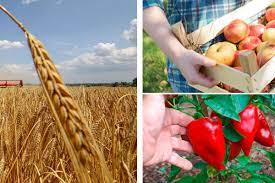 Държавен фонд Земеделие отпусна 30 млн. лв. 