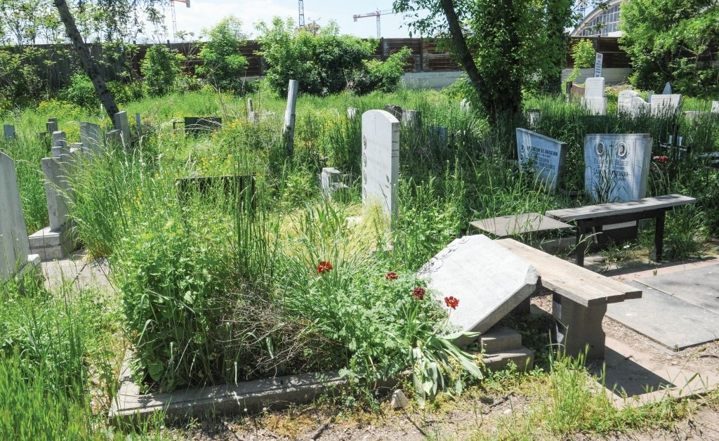 Погребална мафия вършее из София, а роми въртят бизнес със смъртта