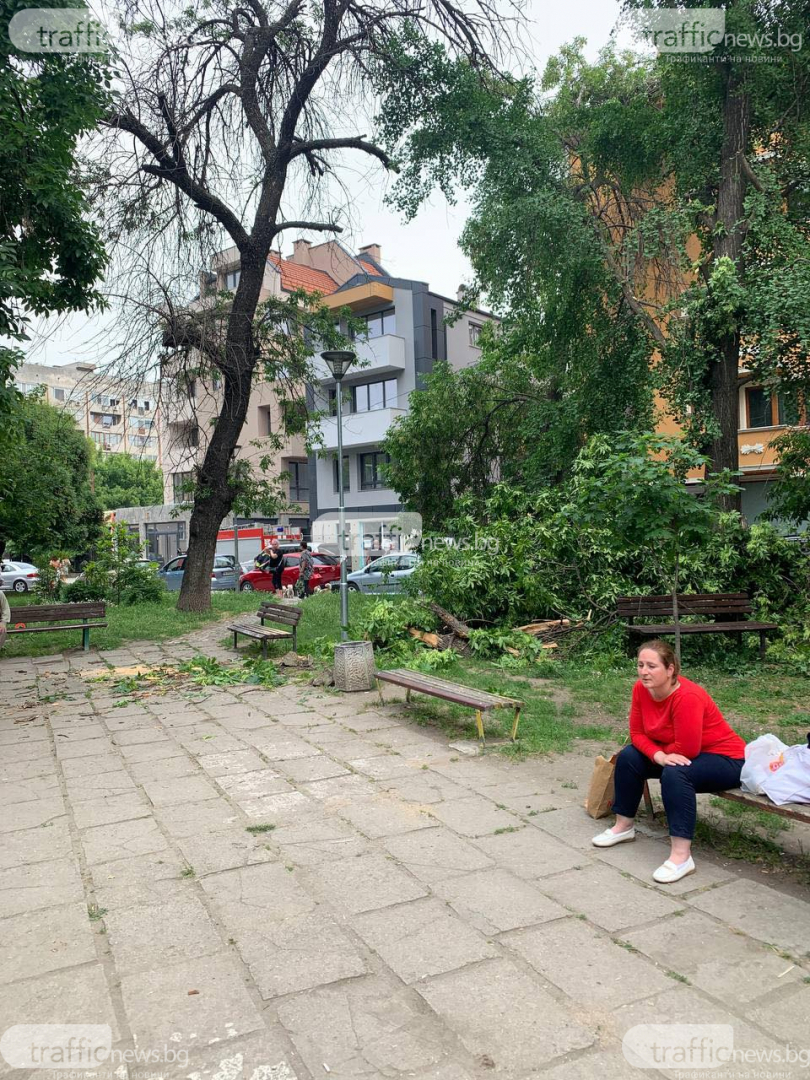 Кошмарен инцидент на метри от детска площадка в Пловдив 