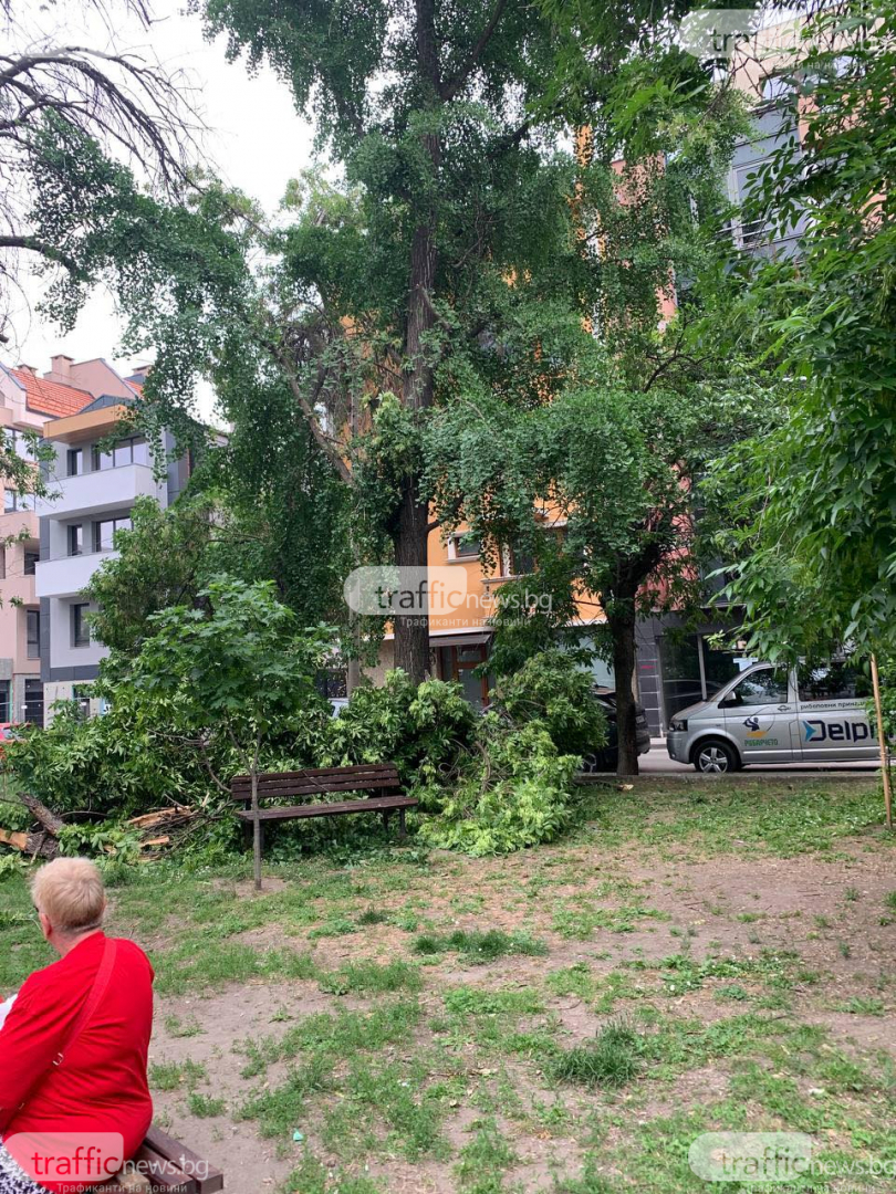 Кошмарен инцидент на метри от детска площадка в Пловдив 