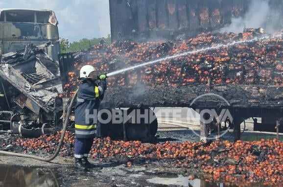 Ужас: Останахме без шопска салата, тонове домати са на въглен СНИМКИ