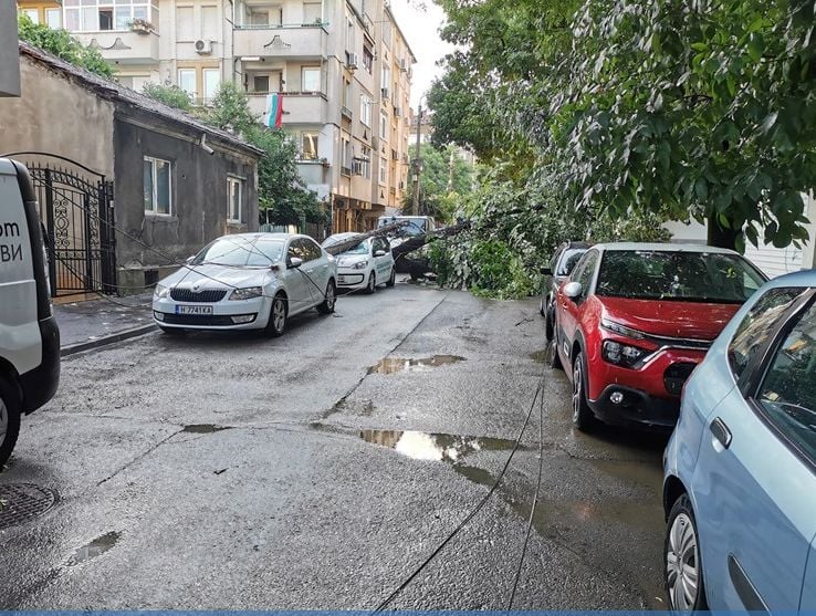 Ето какви поразии остави след себе си мощната буря, ударила Русе в ранни зори СНИМКИ