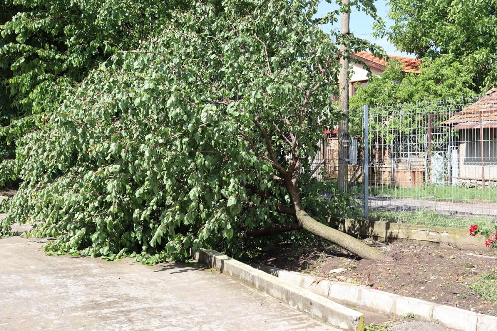 Страшна буря опустоши шуменско село СНИМКИ 