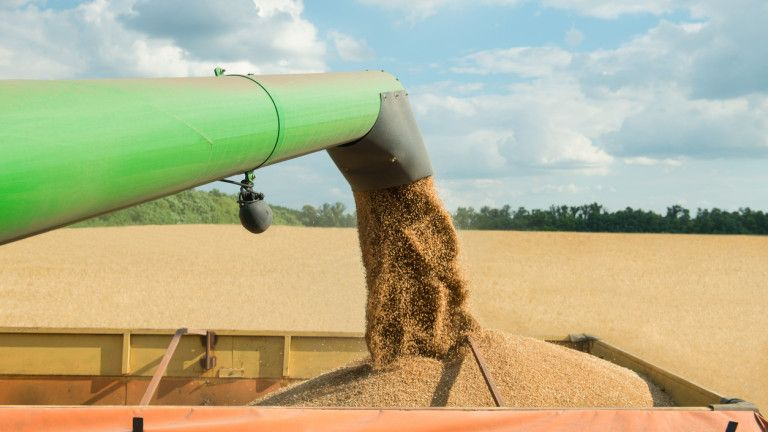 Зърнопроизводител алармира: Кервани със зърно пристигат от Украйна по тъмно у нас. Какво се случва?!