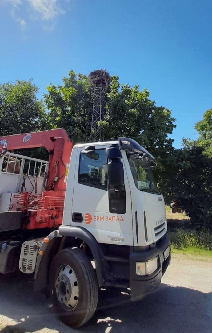 Спасиха три малки щъркелчета, останали без родители СНИМКИ