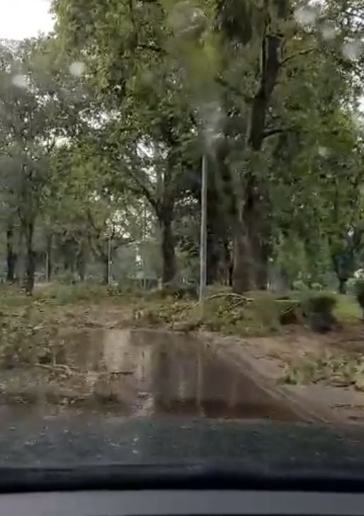 Апокалиптични СНИМКИ след бурята, помела Видин ВИДЕО