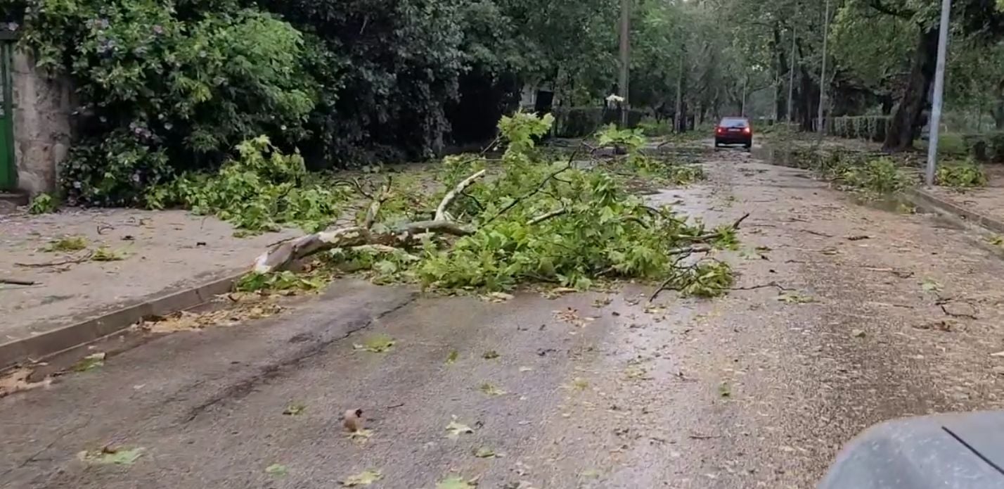 Апокалиптични СНИМКИ след бурята, помела Видин ВИДЕО