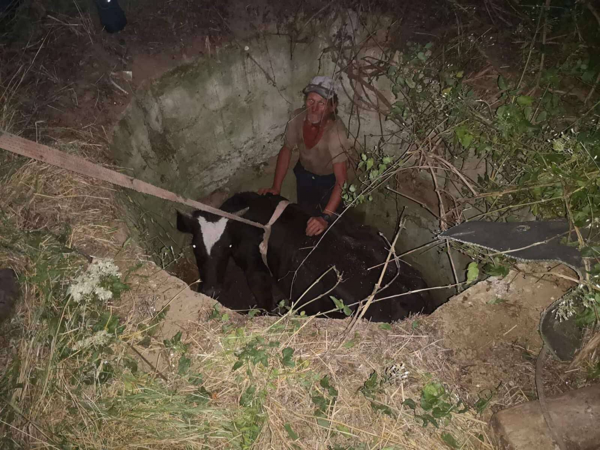 Крава падна в шахта в Сливенско и последва нещо неочаквано СНИМКА